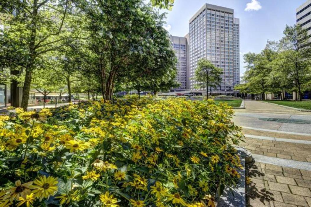 Chase Penthouse At 39 West Baltimore Inner Harbor Convention Center Free Indoor Parking One And Two Bedrooms Bagian luar foto